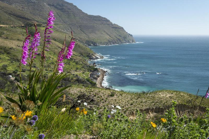 Tintswalo Atlantic Villa Hout Bay Exteriör bild